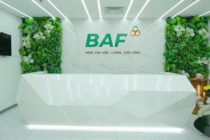 Từ Tây Ninh đến Gia Lai: BAF xây nền tảng tăng trưởng cho mục tiêu 10 triệu heo thương phẩm