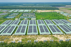 Từ Tây Ninh đến Gia Lai: BAF xây nền tảng tăng trưởng cho mục tiêu 10 triệu heo thương phẩm