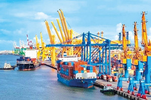 Việt Nam nhập siêu hơn 20 tỷ USD trong 8 tháng