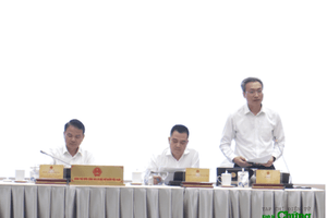 Vụ án Phú Lê xuất hiện tình tiết mới: Khởi tố người bị cáo buộc lừa đảo qua môi giới 'chạy án'