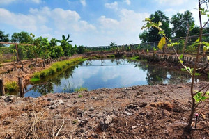 Đất ao được giao khoán từ năm 1997 có được cấp sổ đỏ?