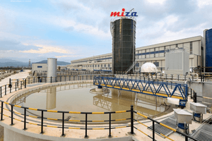 Miza (MZG) sắp vận hành dây chuyền mới công suất 120.000 tấn/năm