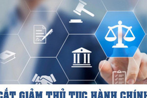 Chỉ đạo, điều hành của Chính phủ, Thủ tướng Chính phủ nổi bật tuần 29/8-4/9/2026