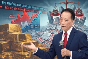 25,5% tín dụng chảy vào bất động sản, TS. Nguyễn Trí Hiếu đề xuất kéo xuống còn 15%