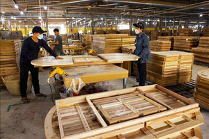 Mặt hàng xuất khẩu số 1 ngành nông nghiệp thu gần 11,7 tỷ USD, Mỹ mua gần một nửa, Trung Quốc mới gây bất ngờ