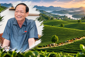 Geleximco của ông Vũ Văn Tiền tìm thấy dư địa gì tại tỉnh có cao nguyên được ví như 'Đà Lạt của miền Bắc'?