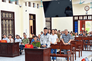 Chủ tịch Công ty CP Đầu tư AVISA lĩnh án chung thân
