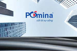 Pomina (POM) lỗ luỹ kế 3.800 tỷ đồng, kiểm toán nghi ngờ khả năng hoạt động liên tục