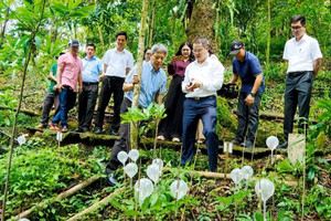 'Quốc bảo' trên núi cao có gì khiến ông Trần Bá Dương muốn biến thành ngành công nghiệp tỷ đô?