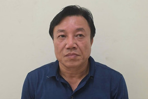 Khởi tố, bắt Giáo sư Nguyễn Huy Ngọc