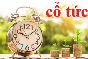 Một doanh nghiệp ngành điện chốt quyền chia cổ tức bằng tiền tỷ lệ 30%