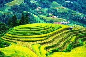 11 địa điểm đẹp nhất Việt Nam được truyền thông Anh vinh danh