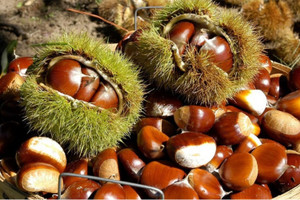 Nghịch lý mùa thu hoạch: Loại nông sản ở nước tỷ dân giảm giá chạm đáy nhưng khách Việt lại dễ sập bẫy nguồn gốc