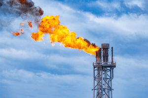 PV GAS: Thông qua miễn nhiệm Chủ tịch và Tổng Giám đốc tại ĐHĐCĐ bất thường