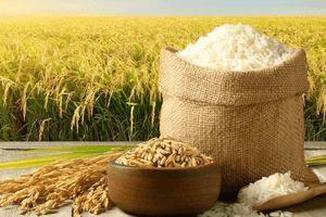 Bên trong 'ông lớn' lương thực doanh thu 25.400 tỷ: Xuất khẩu 626 triệu USD, một công ty con thu hơn 8.200 tỷ đồng