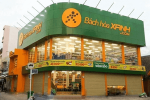 Doanh thu Bách Hóa Xanh tăng trưởng mạnh nhất từ đầu năm, mở hơn 200 cửa hàng chỉ trong tháng 8