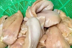 Vụ ‘gà, tôm bốc mùi đưa vào trường học’, Hà Nội chỉ đạo xử lý nghiêm