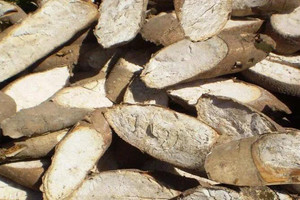 'Vàng trắng dưới lòng đất' của Việt Nam có sản lượng hơn 10 triệu tấn/năm