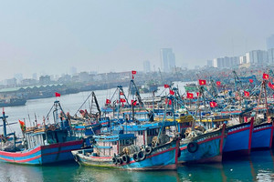 Hơn 1.400 tàu cá ở Đà Nẵng bị đưa vào diện theo dõi đặc biệt