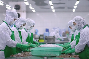 Gần 49,3 tỷ USD sau 8 tháng, xuất khẩu nông lâm thủy sản còn dư địa nào?