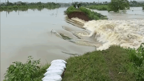 Vỡ bờ kênh ở Thanh Hóa