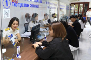 Gần 72.000 doanh nghiệp đã được đóng mã số thuế, Cục Thuế siết tình trạng 'bỏ cũ, lập mới' để né nghĩa vụ