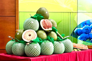 Bưởi tươi Việt Nam vừa gặp 'cú sốc' sau 5 tháng gia nhập thị trường Australia
