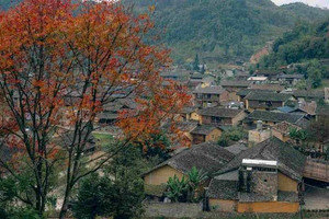 'Làng du lịch tốt nhất thế giới' của Việt Nam đón nhận vinh dự đặc biệt