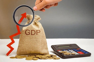 Chuyên gia: Kích cầu mà tiền lại chảy vào hàng nhập khẩu thì GDP có thể bị tác động ngược