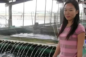 Phát hiện nữ sinh học giỏi bỏ học Đại học về nuôi cá, bán 1 con được 33,2 tỷ, tuyên bố rõ công việc mỗi ngày phải làm