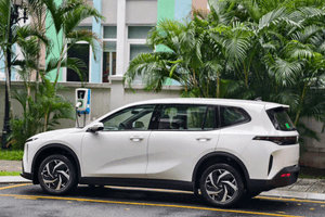 Sau 1 năm với hơn 80.000km, chủ xe VinFast Limo Green nói thẳng trải nghiệm thật, đưa ra những so sánh với Mitsubishi Xpander