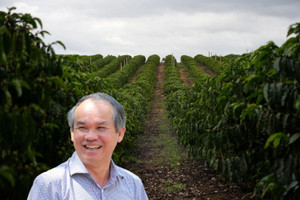 Bầu Đức trồng 20.000 ha cà phê Arabica: Đón đầu thị trường xuất khẩu 6 tỷ USD
