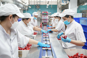 Vissan rót hơn 1.500 tỷ đồng xây nhà máy mới, di dời cơ sở sản xuất khỏi TP.HCM