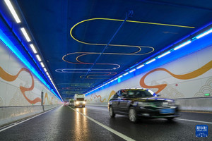 Thu hồi đất vùng ven sông, xây tuyến đường hầm 2 tầng với 6 làn xe dài 5,75km chạy xuyên qua lòng sông, rút ngắn thời gian di chuyển từ 40 phút xuống còn 5 phút