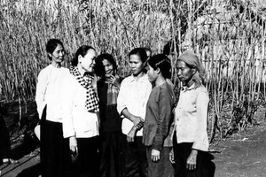 Người phụ nữ Việt Nam đầu tiên được trao tặng Huân chương Sao Vàng, là Bà mẹ Việt Nam Anh hùng có chồng và 2 con hy sinh
