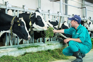 Công ty sữa liên quan các doanh nhân Mai Kiều Liên, Thái Hương, Tô Hải sắp được vinh danh