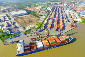 GELEX (GEX) thoái toàn bộ vốn khỏi HAH chỉ sau hơn 1 tháng trở thành cổ đông lớn