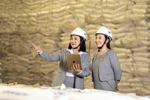 Khối ngoại gom mạnh SBT: Điều gì giúp cổ phiếu mía đường thành tâm điểm tiền ngoại từ đầu tháng 9?