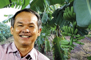 Học theo Bầu Đức, một đại gia sở hữu 15.600ha đất nông nghiệp muốn nhân rộng mô hình trồng chuối