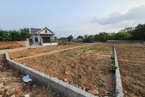 TP HCM ‘gỡ vướng’ tách thửa đất hỗn hợp: Đất nông nghiệp đi kèm không nhất thiết phải đạt diện tích tối thiểu
