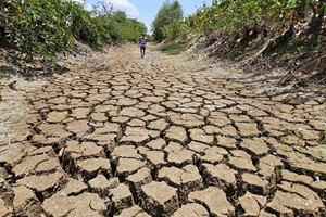 3 tháng cuối năm siêu El Nino cực mạnh gây sức ép lên cả nông nghiệp, nước sinh hoạt, thủy lợi và sản xuất điện, nơi nào chịu ảnh hưởng nặng nhất?