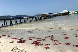 'Vương quốc sao biển' tại đặc khu lớn bậc nhất cả nước sắp có khu đô thị 320ha, quy mô đến 12.000 người