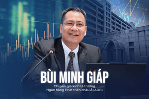 Chuyên gia kinh tế trưởng ADB: Muốn tăng trưởng 2 con số, Việt Nam không thể chỉ dựa vào FDI và tín dụng