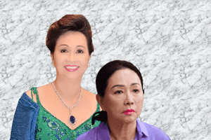 Chính thức định đoạt 'số phận' 15 thửa đất quy mô lớn của bà Trương Mỹ Lan tại Long Phước