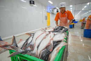 Một 'mỏ tiền' xuất khẩu của Việt Nam thu hơn 100 triệu USD từ 2 thị trường: Khách châu Âu mua ngày càng mạnh, 'mối quen' bên kia Đại Tây Dương bất ngờ hụt hơi
