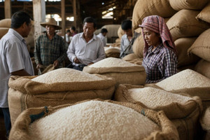 Phát hiện lô gạo giả cộp mác cao cấp và nghi vấn 6 công ty lớn cầm đầu, lãnh đạo của nước này ra chỉ đạo gấp