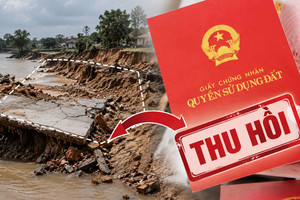 HoREA đề xuất xử lý sổ đỏ đối với thửa đất bị tiêu hủy do nguyên nhân khách quan