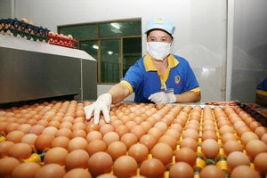 BIDV, Agribank rao bán tài sản của loạt doanh nghiệp trứng gà sạch
