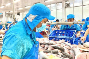 VASEP kiến nghị gỡ vướng mắc thuế cho doanh nghiệp thủy sản