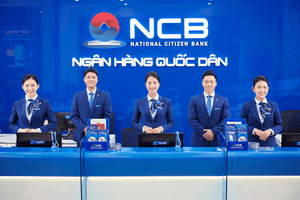 Trước cú bứt phá của NVB, tự doanh một công ty chứng khoán đã kịp mua gần 1.000 tỷ đồng